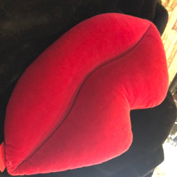 Custom Designed Decorator Pillows - Picture 6 of 6